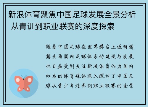 新浪体育聚焦中国足球发展全景分析 从青训到职业联赛的深度探索